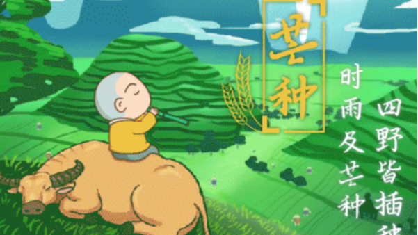 讓我們在芒種這個節(jié)氣里發(fā)揚農民的精神創(chuàng)造屬于自己的美好未來